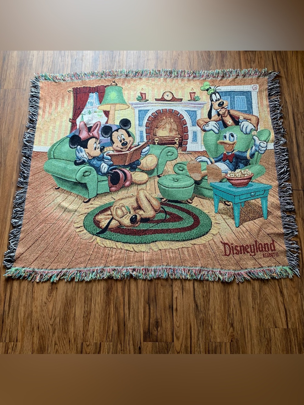 Vintage Disneyland Resort Tapestry Woven Blanket Holiday Gathering Mickey 60x50